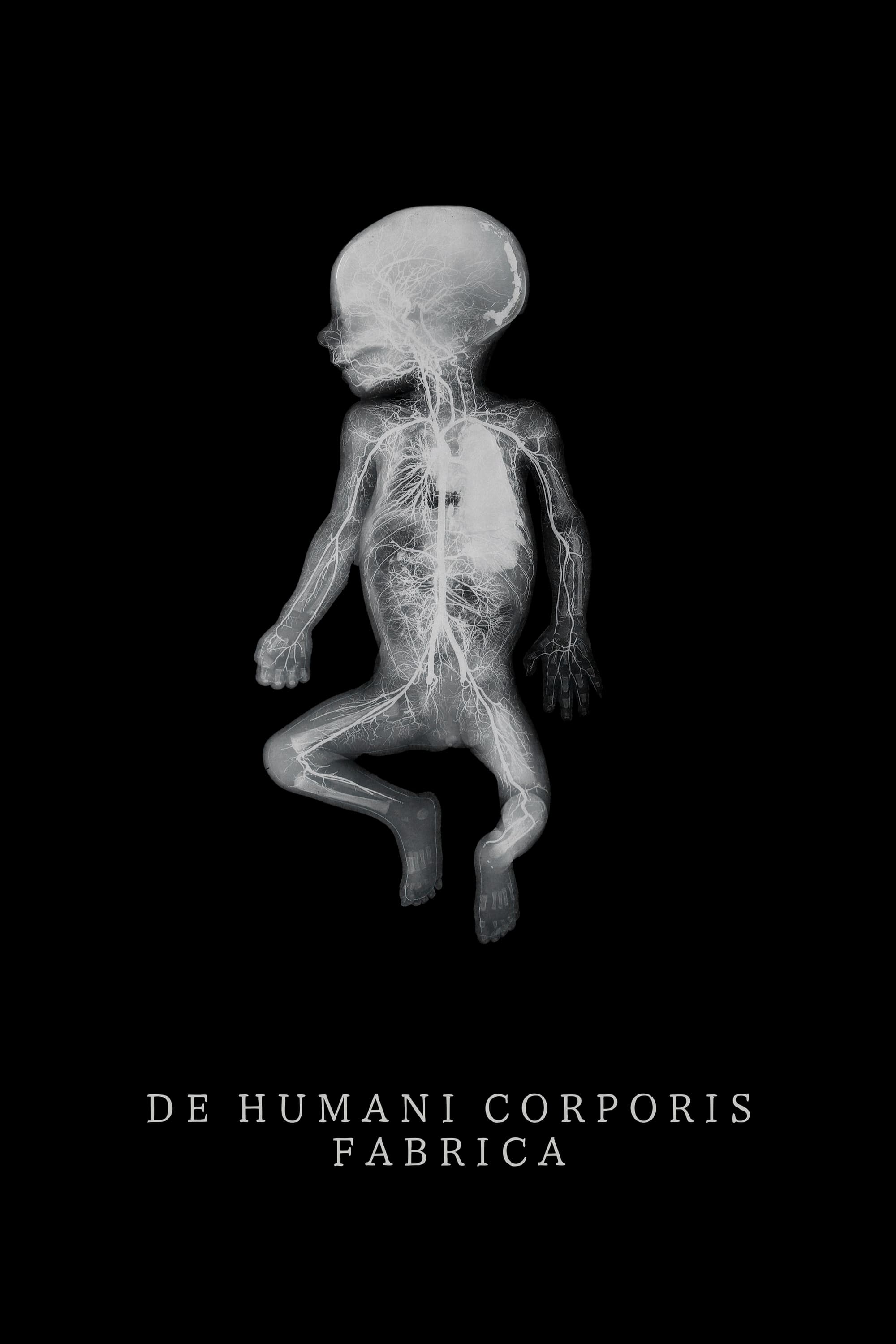 De Humani Corporis Fabrica (2023) poster or primary title artwork