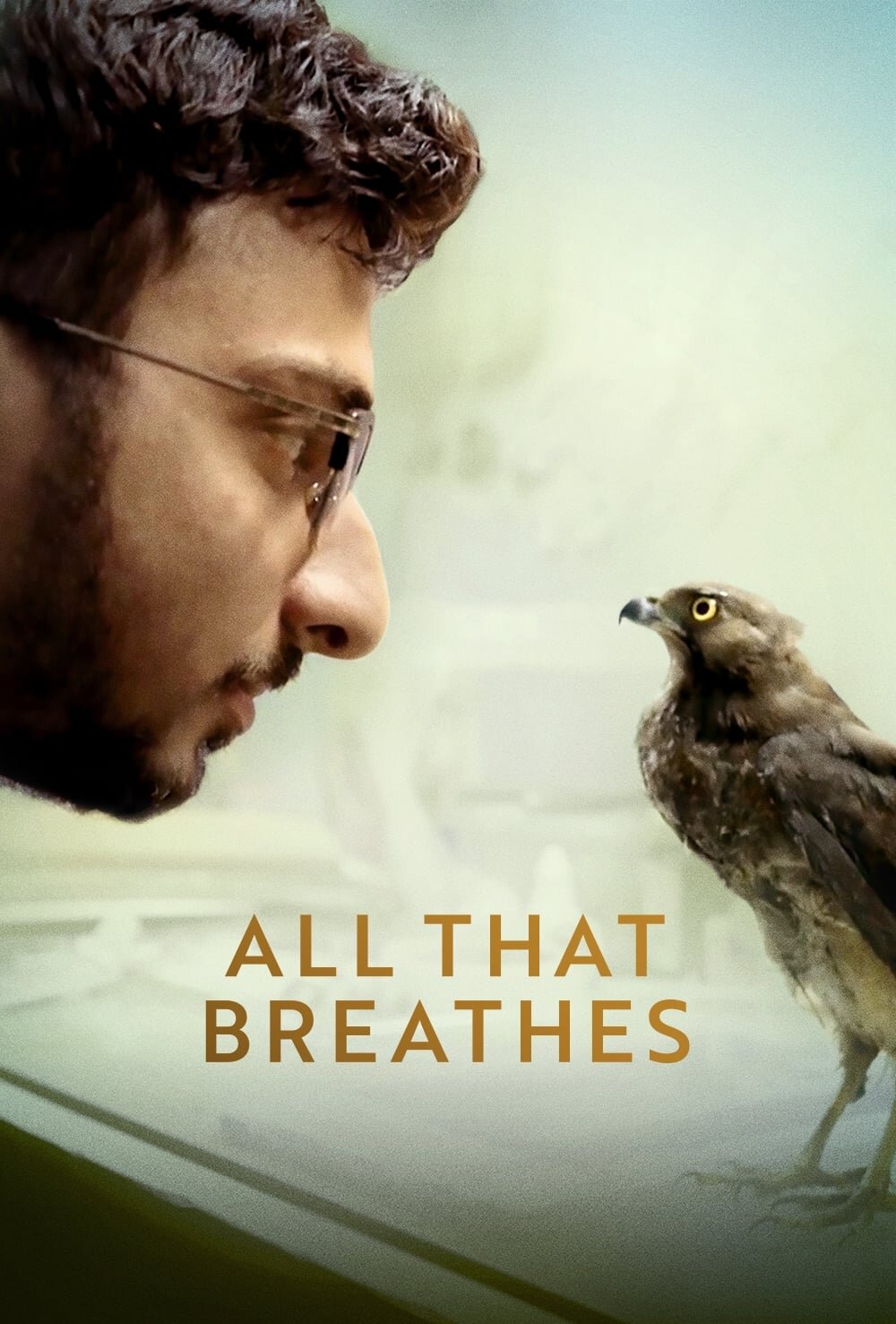 All That Breathes (2022) poster or primary title artwork