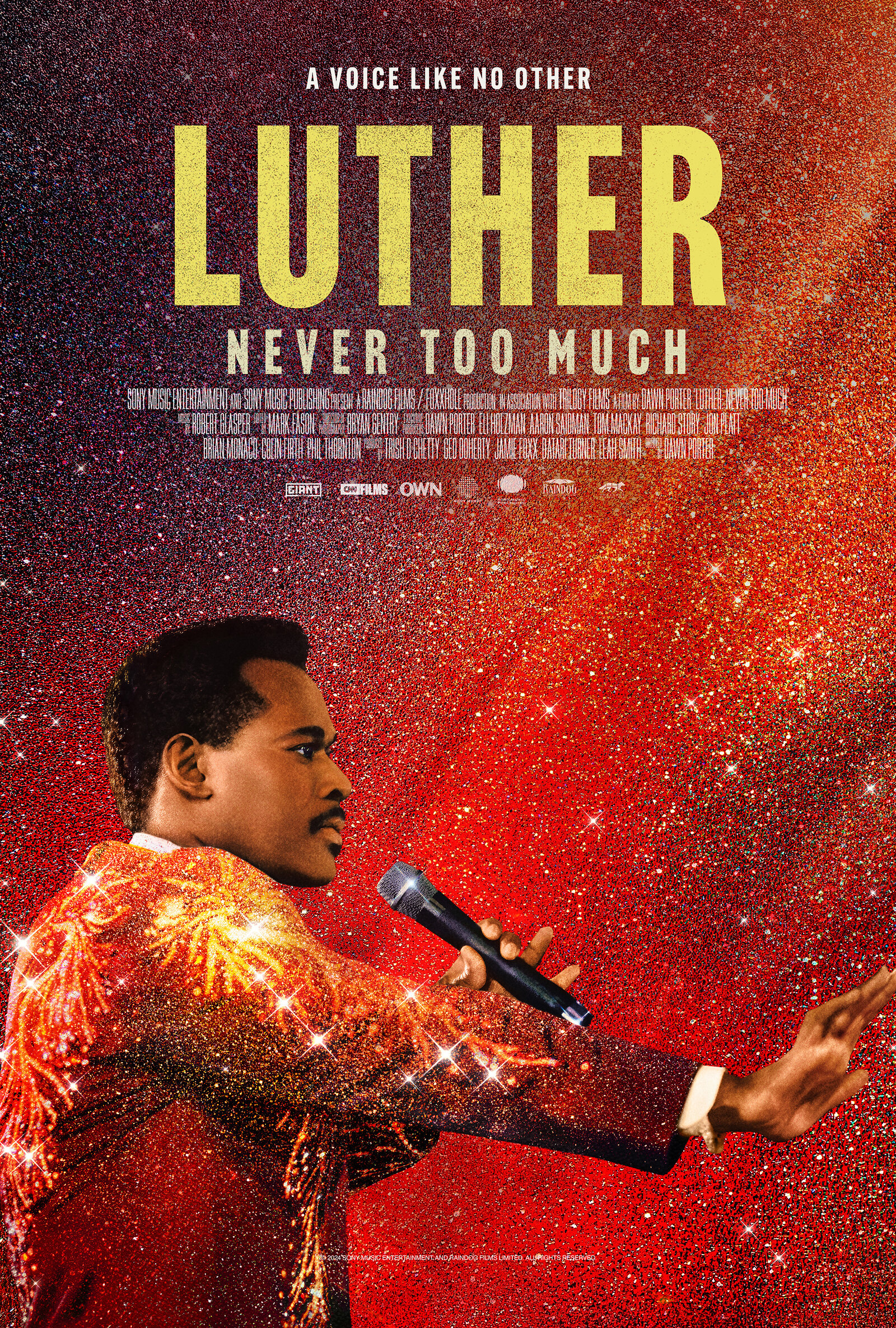 Luther: Never Too Much (2024) poster or primary title artwork
