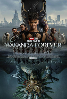 Cover art for Black Panther: Wakanda Forever (2022)