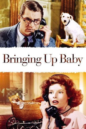 Bringing Up Baby (1938) poster or primary title artwork