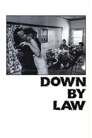 Down by Law (1986) poster or primary title artwork