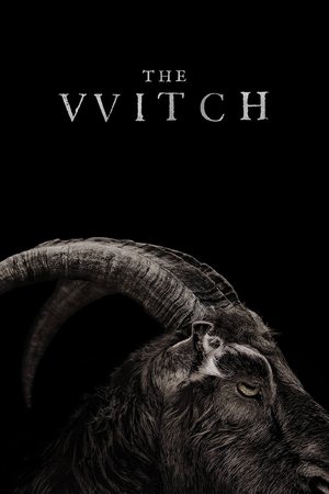 The Witch (2015) poster or primary title artwork