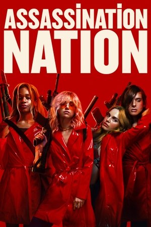 Assassination Nation (2018) poster or primary title artwork