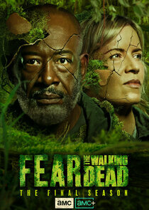 Fear the Walking Dead: Season 8 poster or season artwork