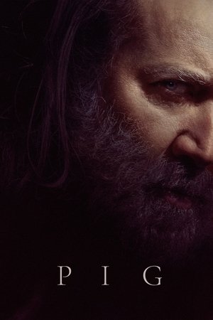Pig (2021) poster or primary title artwork