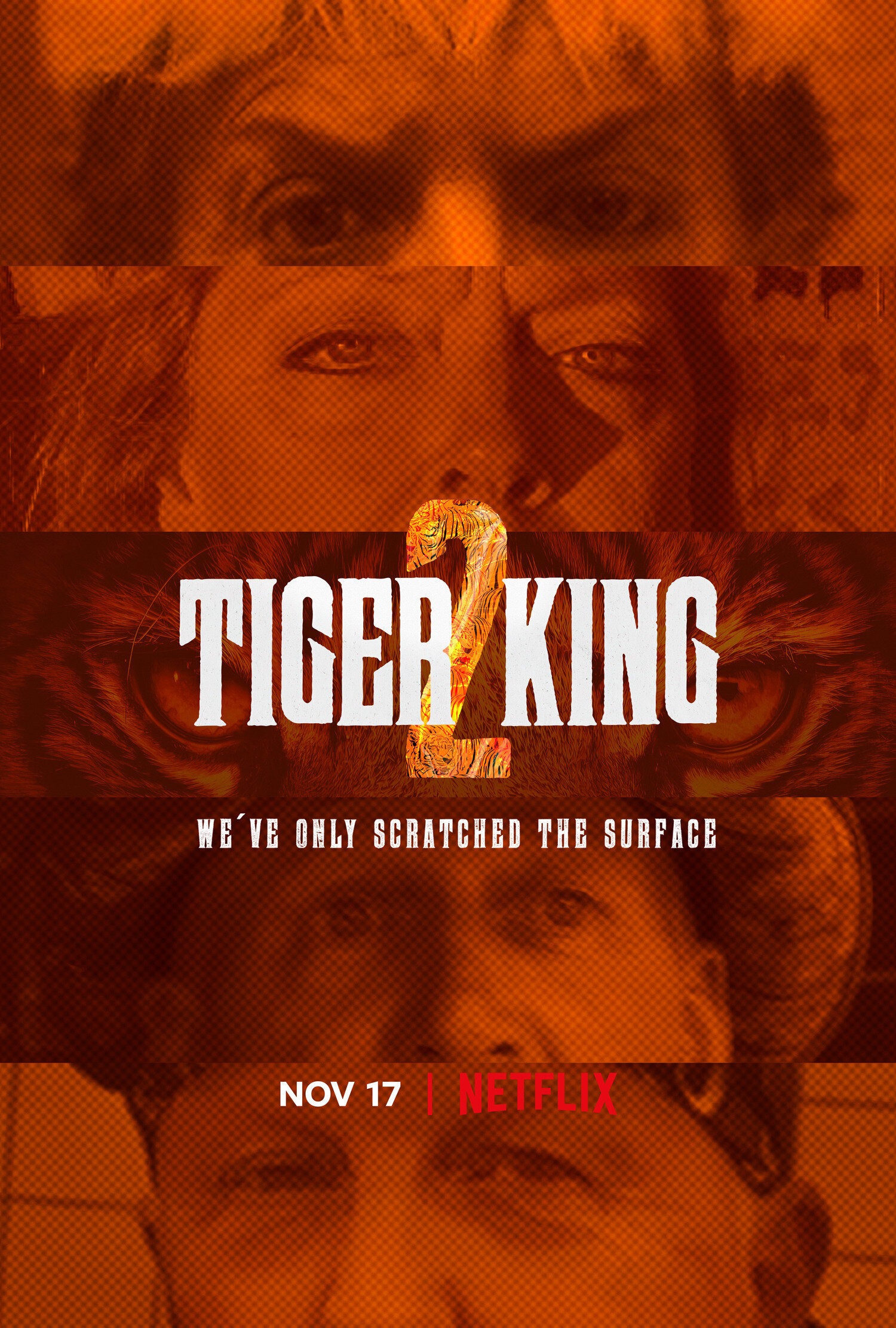 Tiger King: Season 2 poster or season artwork
